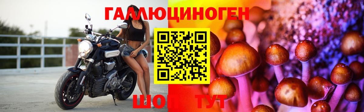 Югорск  Псилоцибиновые грибы Psilocybe  Псилоцибиновые грибы прущие грибы  Вход с VPN 